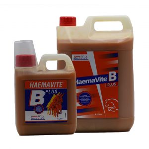 Haemavite B Plus Liquid