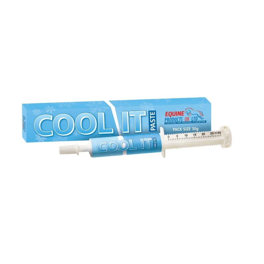 Cool It Paste 30gm