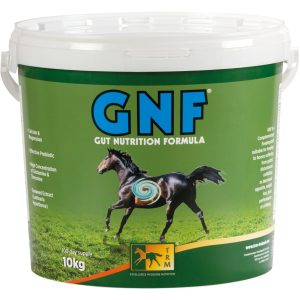 GNF - 1