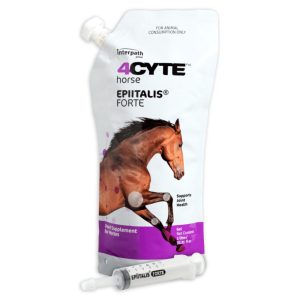 4CYTE Epiitalis Forte Equine Gel
