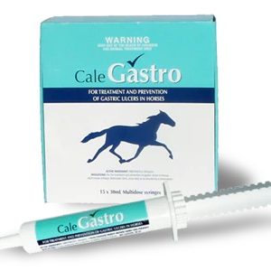 Cale Gastro 30ml Syringe